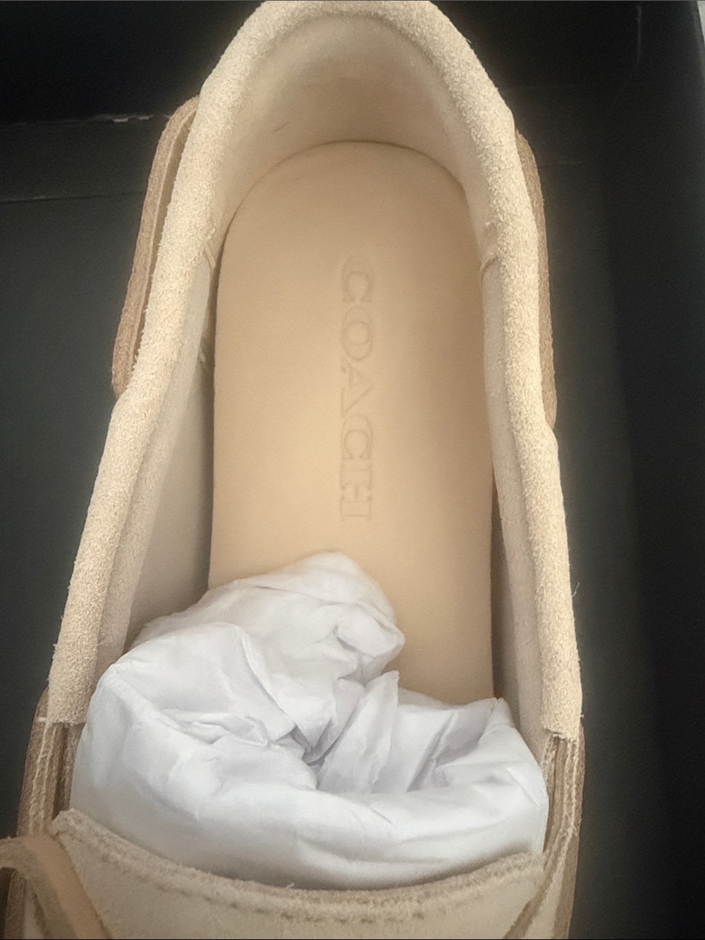 Coach Woman’s Ivory Suede Sculpt C Boat Shoe size 9B NIB - Picture 8 of 16